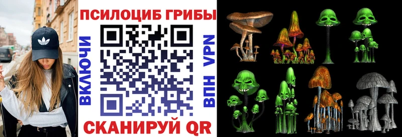 mega ссылки  цена   Калязин  Псилоцибиновые грибы Psilocybe 