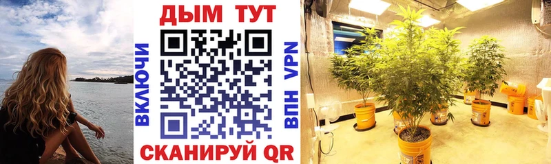 купить  сайты  kraken ONION  Каннабис сатива  Калязин 